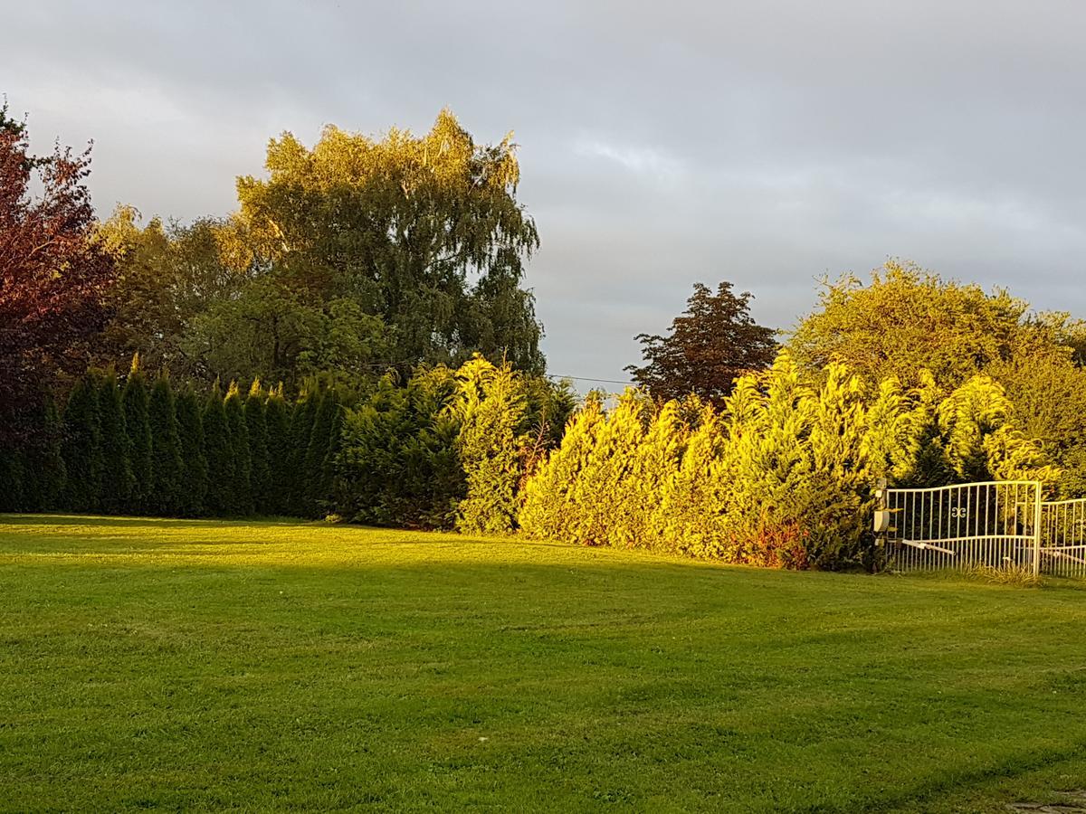 Fewo Am Saalerbodden Bartelshagen  Luaran gambar